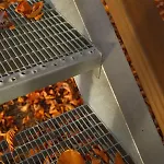 Peak - Baumhaus K1 *